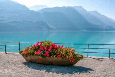 Lake Brienz, mountain ranges and quay with flowers in Brienz.