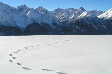 Footprints in the snow on the slopes above the Lower Engadine.