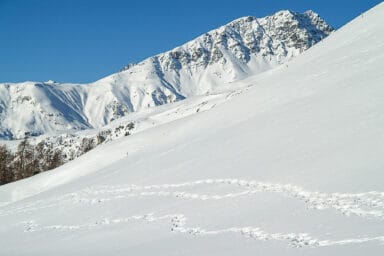 Snowshoe footprints in the snowy slopes of the Lower Engadine.