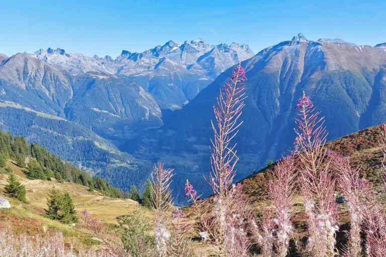 View over Rhone Valley on trail Fiescheralp-Bettmeralp