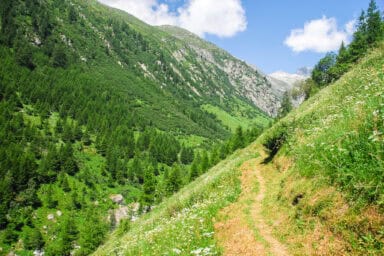 The Gommentaler Höheweg near Münster in summer.