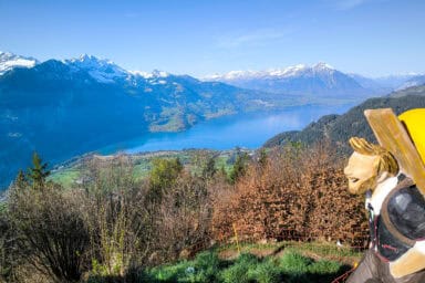 Wood sculpture of a hiker at Harder Kulm, with Lake Thun and the Niesen in the background.