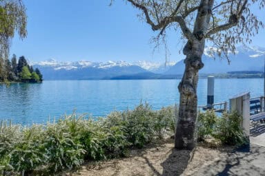 View of the Bernese Alps from the jetty of Hünibach.