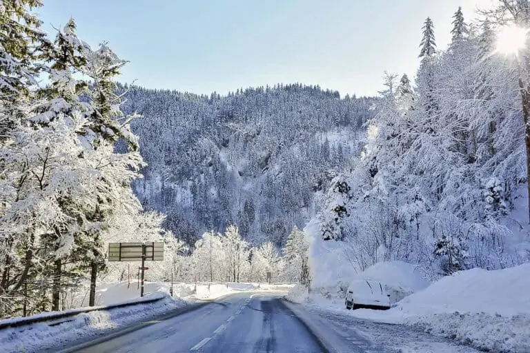 Road with ice and snowy trees in Switzerland