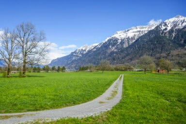 View toward Lake Brienz from the train between Interlaken Ost and Matten.
