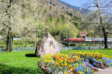 The English garden with the river Aare and an SBB train near Interlaken Ost.