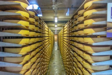 Lagerkeller in La Maison du Gruyère mit endlosen Reihen von Schweizer Käselaiben.