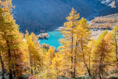 You'll see the small Palü lake during the descent from the Bernina Pass to the Poschiavo Valley.