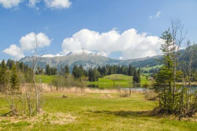 The Lauenensee, south of Gstaad, in spring.
