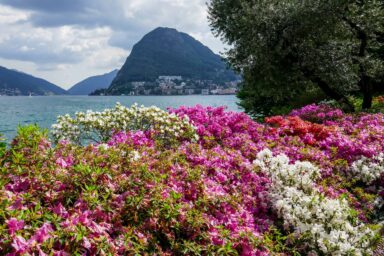 Blick auf den Monte San Salvatore vom Parco Ciani in Lugano