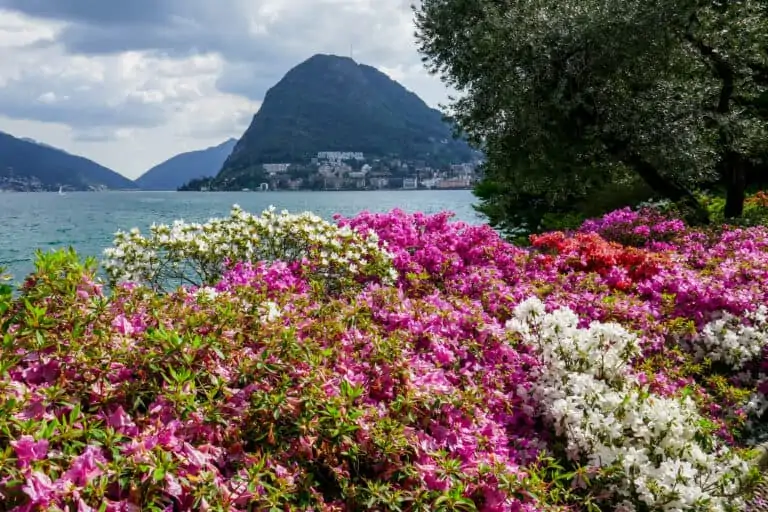 View of Monte San Salvatore from Ciani Park, Lugano