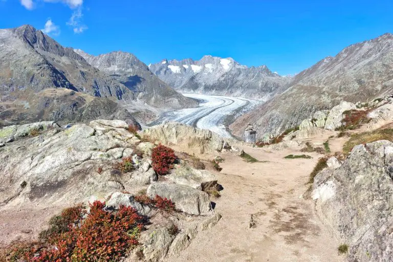 Aletsch Glacier seen from Moosfluh in September