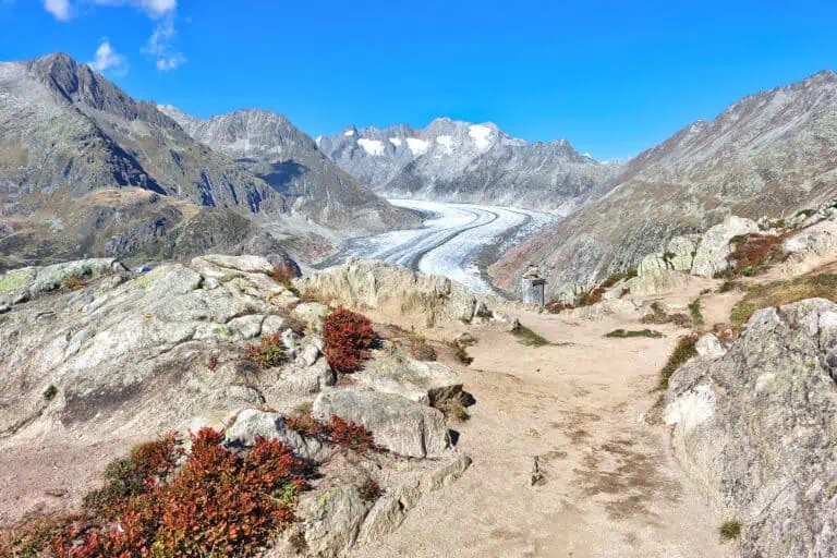 Aletschgletscher im September von der Moosfluh aus gesehen