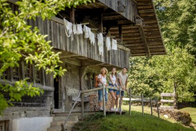 Entry tickets Swiss Open-Air Museum