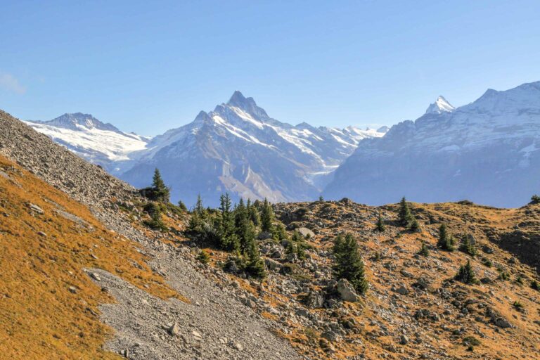 Mountain view from Schynige Platte in autumn