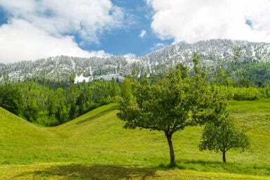 A distinctive snow line above Stans (Lake Lucerne area) in spring.