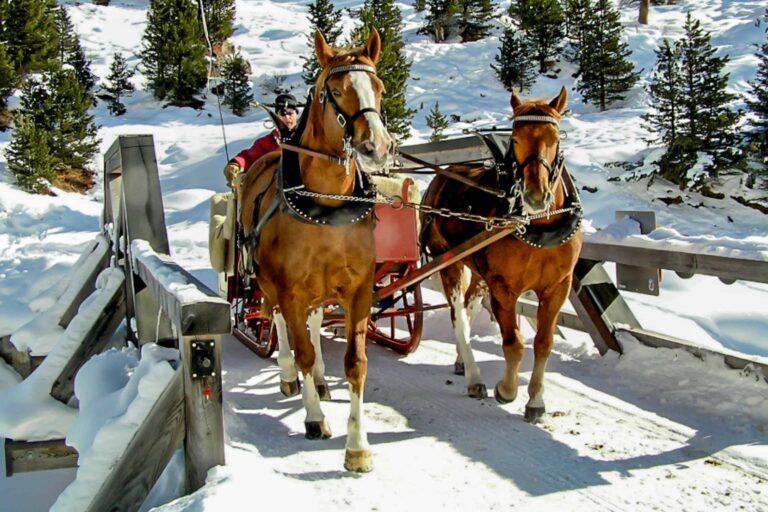 Pferdeschlitten im Rosegtal