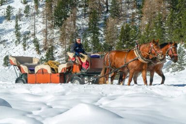 A horse-drawn sleigh in the Roseg Valley near Pontresina.