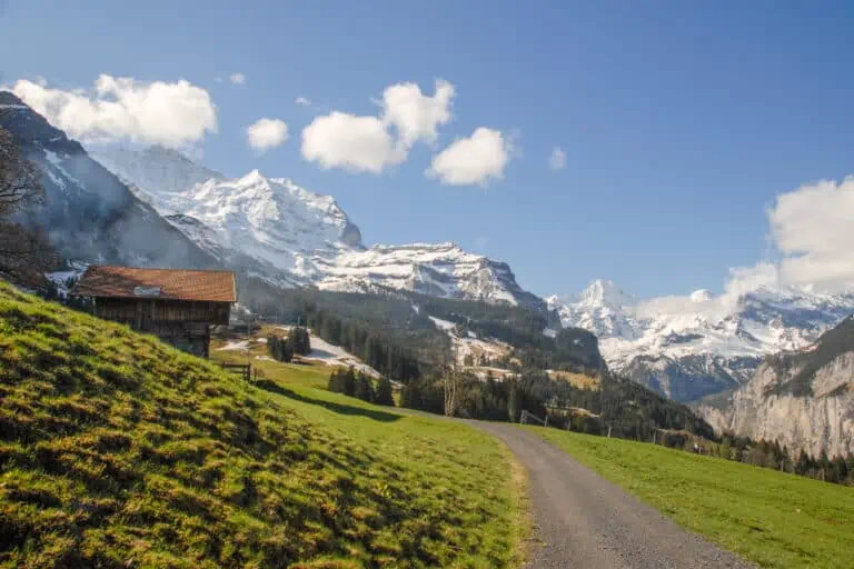 Wengen-Kleine Scheidegg hiking path with view of Jungfrau and Breithorn