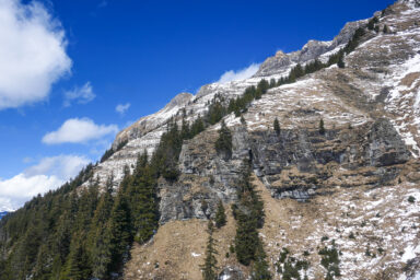 Rocky ridges and pine trees form part of the scenery during your cable car ride between Wengen and Männlichen.
